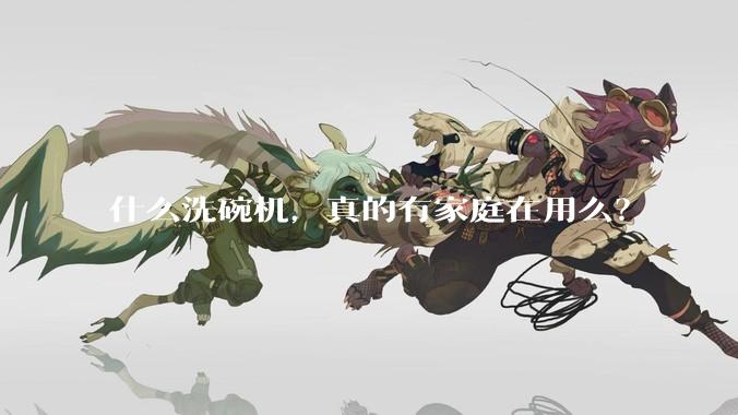 什么洗碗机，真的有家庭在用么？